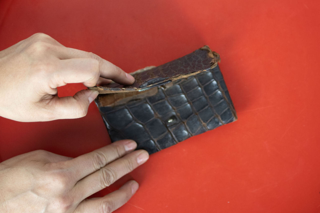 Snakeskin cigarette case