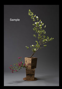 Vase/TSURUBE  for flower arrangement